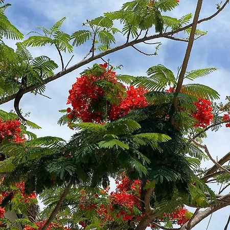 Lägenhet Eden Park Saint-Tropez